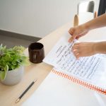 CARPETA DE FUNDAS A4 DRAGON BALL