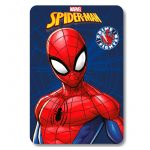 MANTA POLAR SPIDERMAN