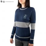 Jersey Harry Potter Ravenclaw Quidditch