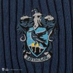 Jersey Harry Potter Ravenclaw Quidditch