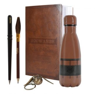 Baul Quidditch Harry Potter