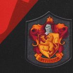 Delantal Uniforme Gryffindor Harry Potter
